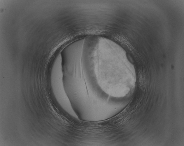 X0000062640684200601111126