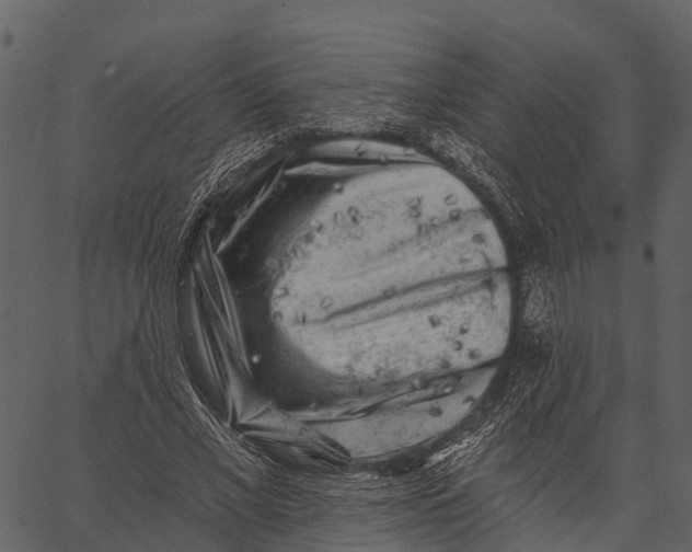 X0000062640685200601111126