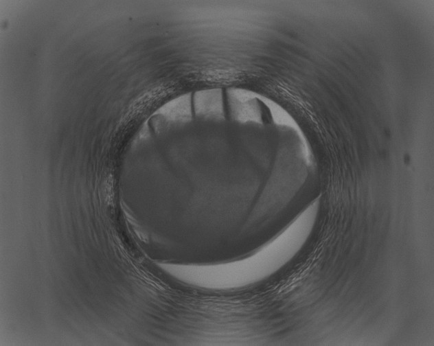 X0000062640689200601111126