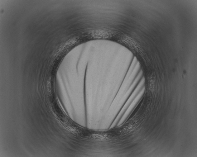 X0000062640690200601111126