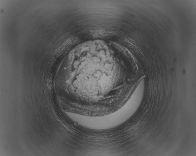 X0000062640691200601111126