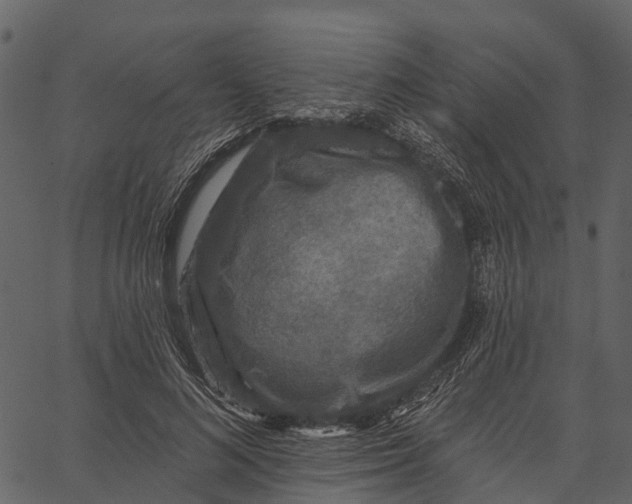 X0000062640692200601111126