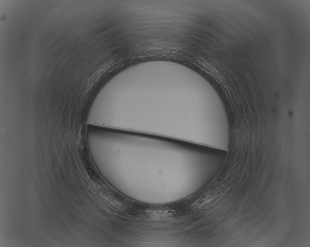 X0000062640693200601111126