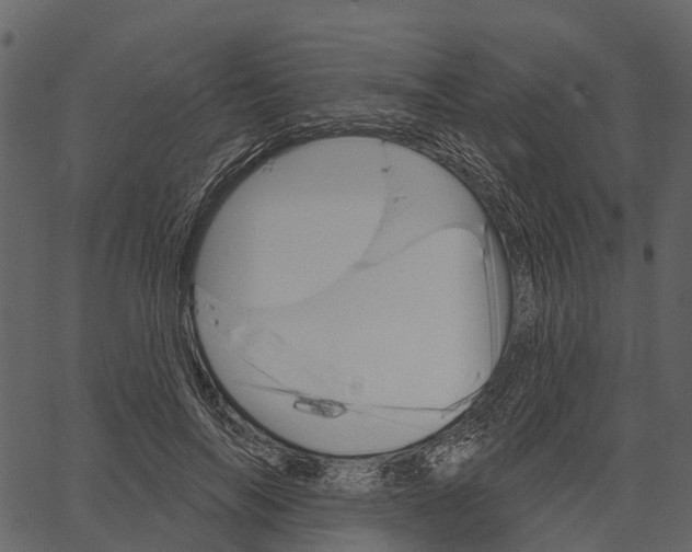 X0000062640694200601111126