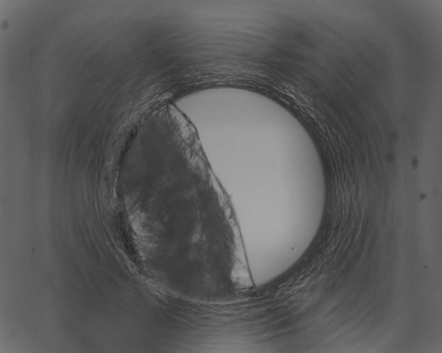 X0000062640695200601111126