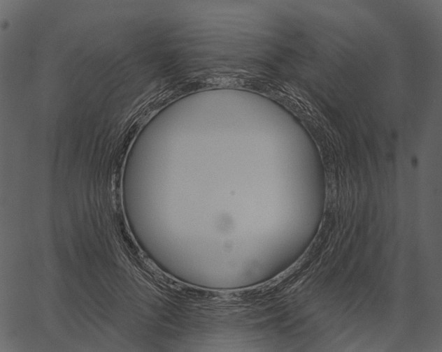 X0000062640696200601111126