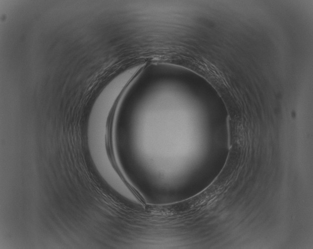 X0000062640697200601111126