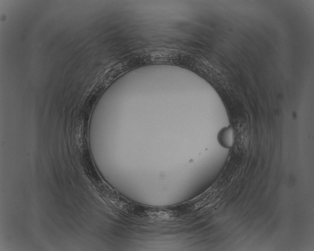 X0000062640698200601111126