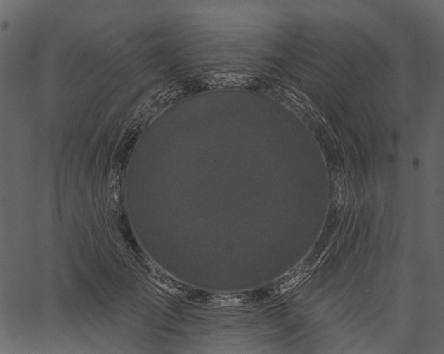 X0000062640701200601111126