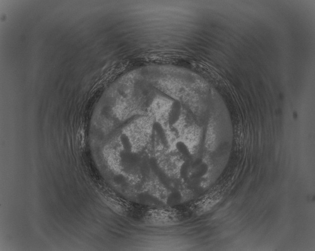 X0000062640703200601111126