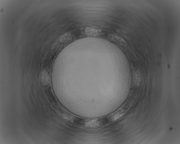 X0000062640705200601111126