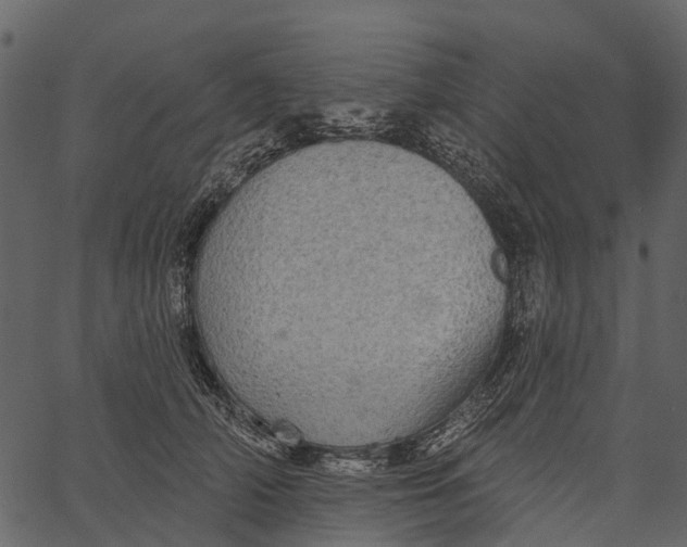 X0000062640706200601111126