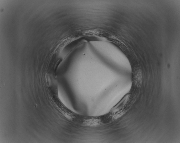 X0000062640708200601111126