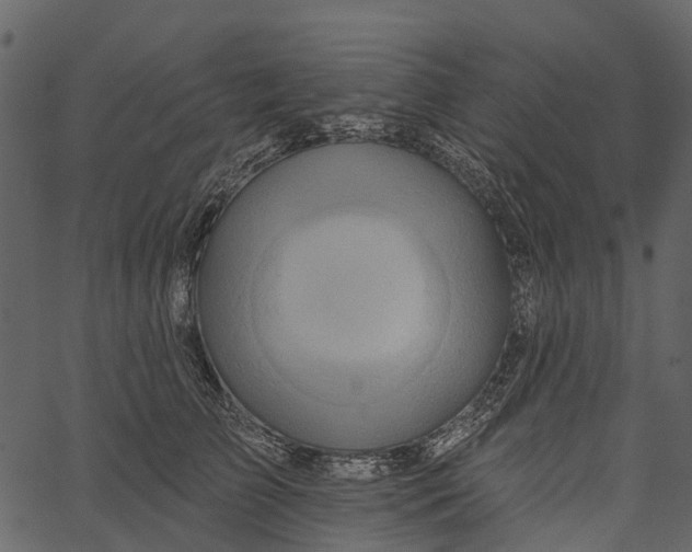 X0000062640709200601111126