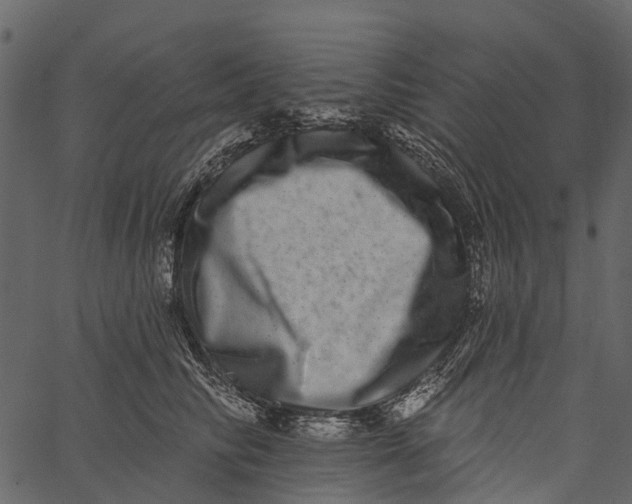 X0000062640710200601111126