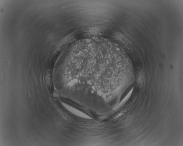 X0000062640715200601111126