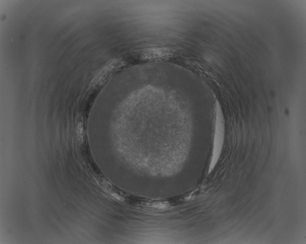 X0000062640716200601111126