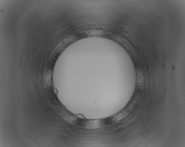 X0000062640717200601111126