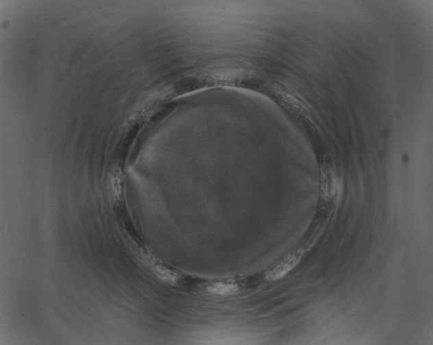 X0000062640718200601111126