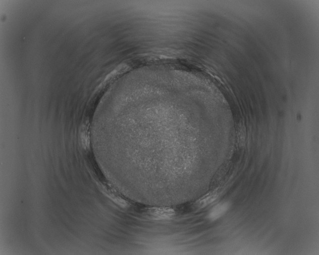 X0000062640719200601111126