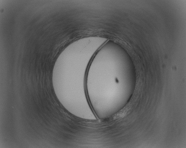 X0000062640720200601111126