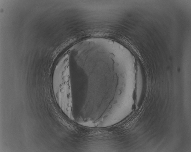 X0000062640721200601111125