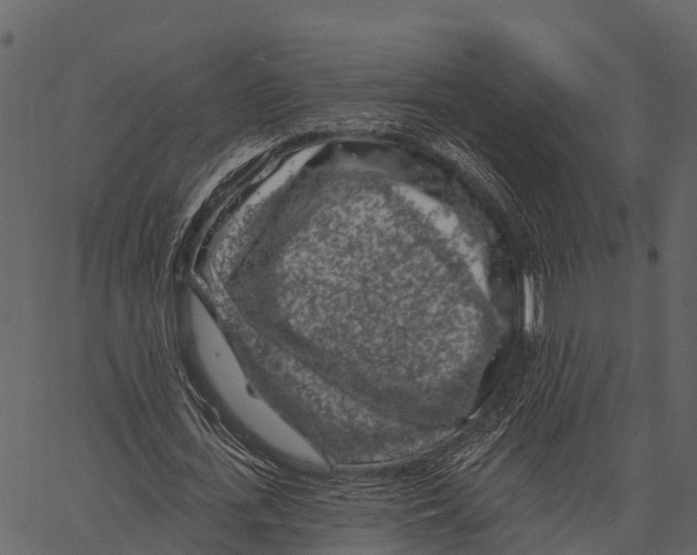 X0000062640723200601111125