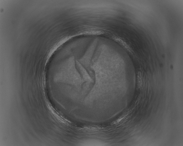 X0000062640726200601111125