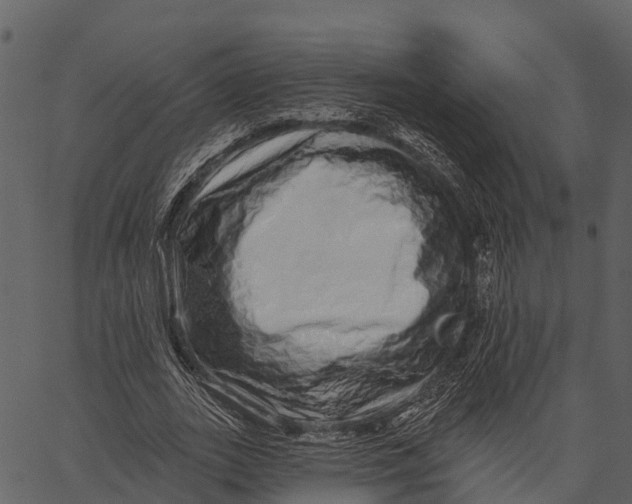 X0000062640727200601111125