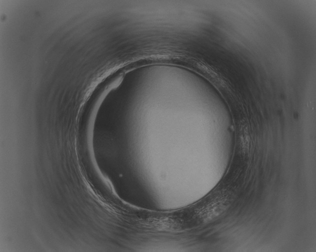 X0000062640728200601111125