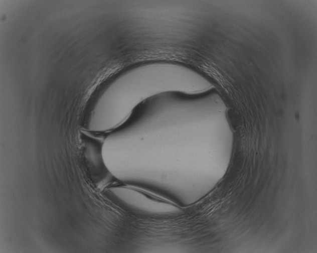 X0000062640731200601111125