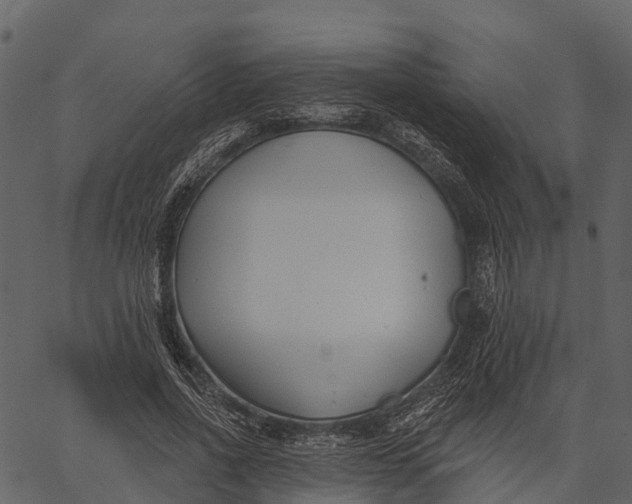 X0000062640734200601111125