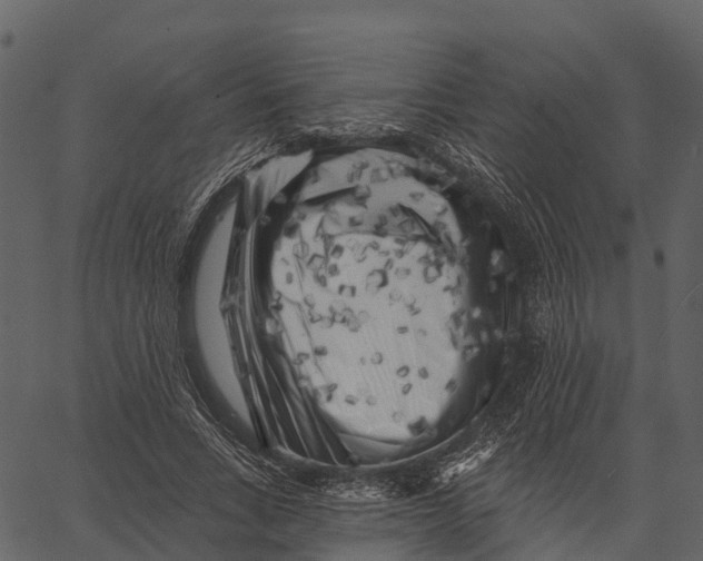 X0000062640735200601111125