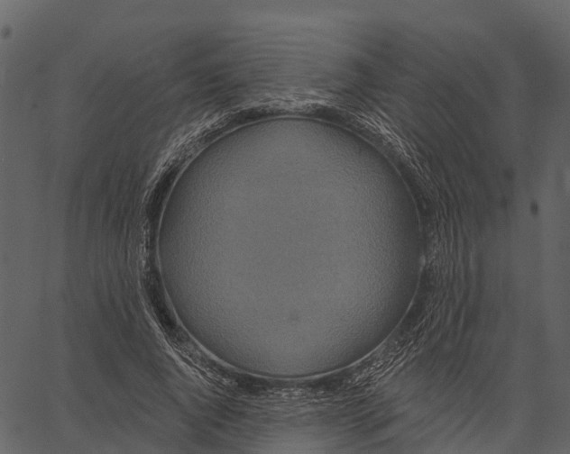 X0000062640736200601111125