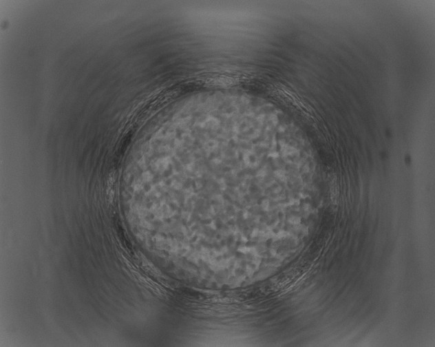 X0000062640737200601111125