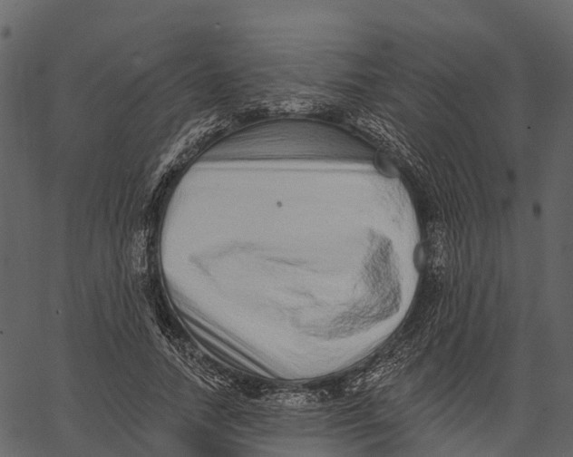 X0000062640738200601111125