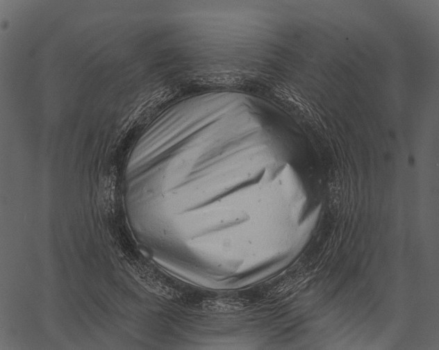 X0000062640739200601111125