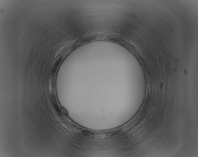 X0000062640740200601111125