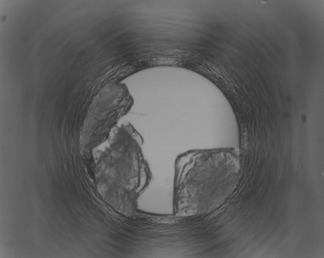 X0000062640741200601111125