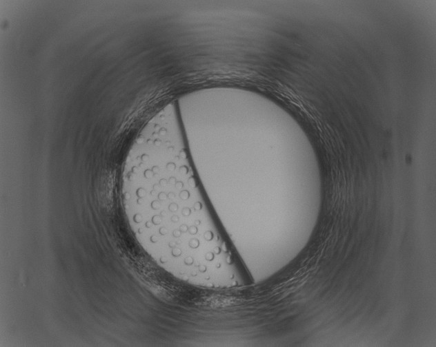 X0000062640742200601111125