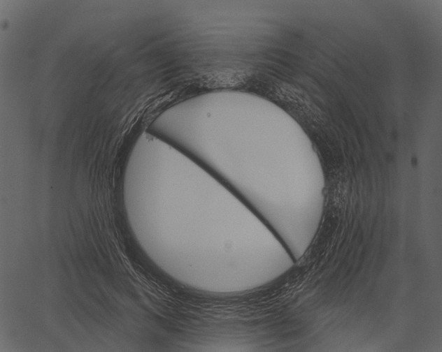 X0000062640743200601111125