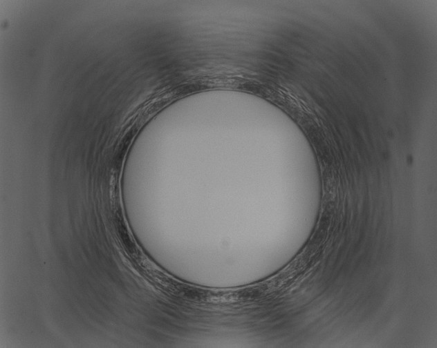 X0000062640744200601111125