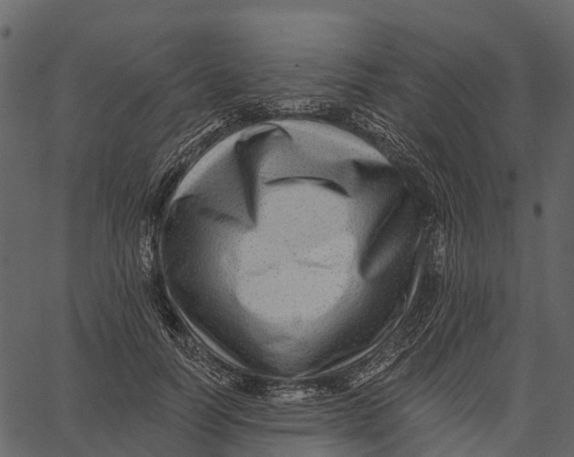 X0000062640746200601111125