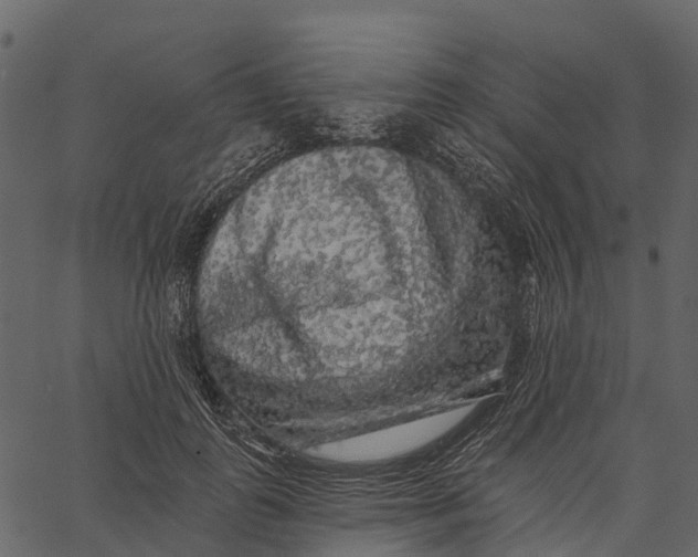 X0000062640747200601111125