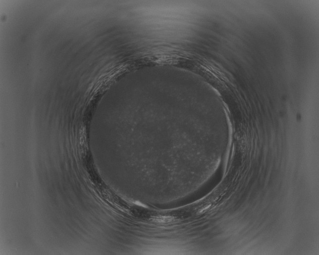 X0000062640748200601111125