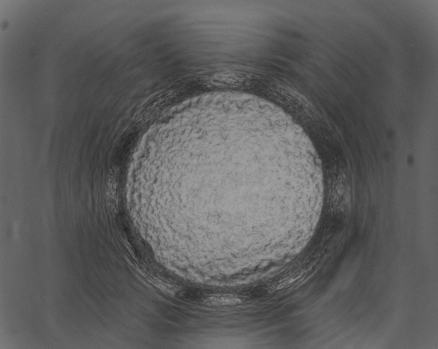 X0000062640749200601111125