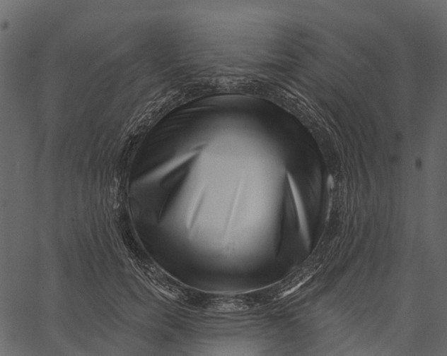 X0000062640750200601111125