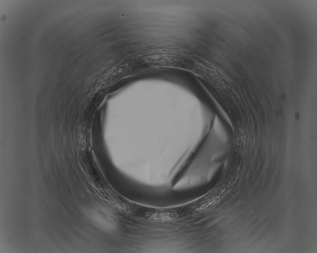 X0000062640751200601111125