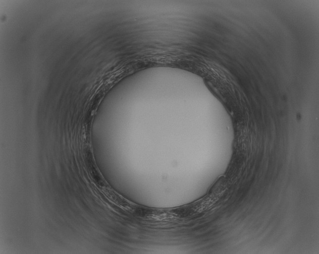 X0000062640752200601111125