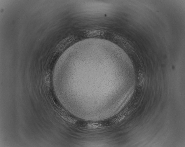 X0000062640753200601111125